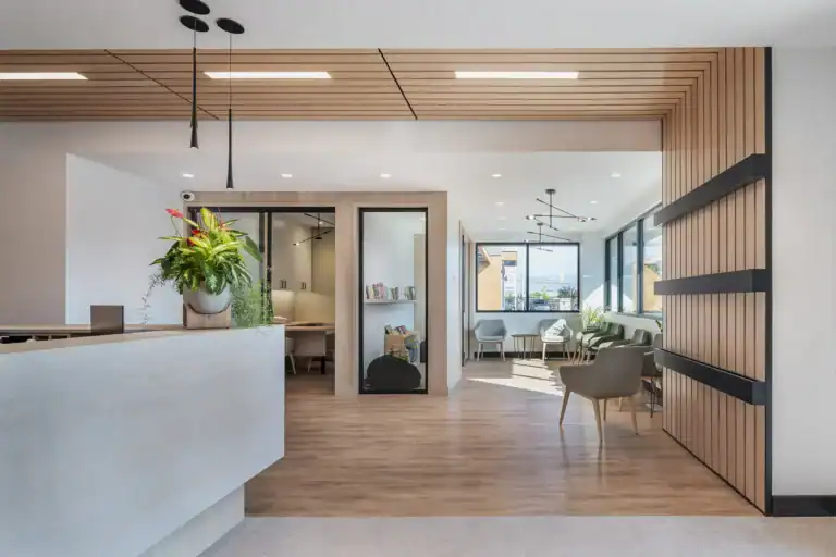 Modern dental practice interior